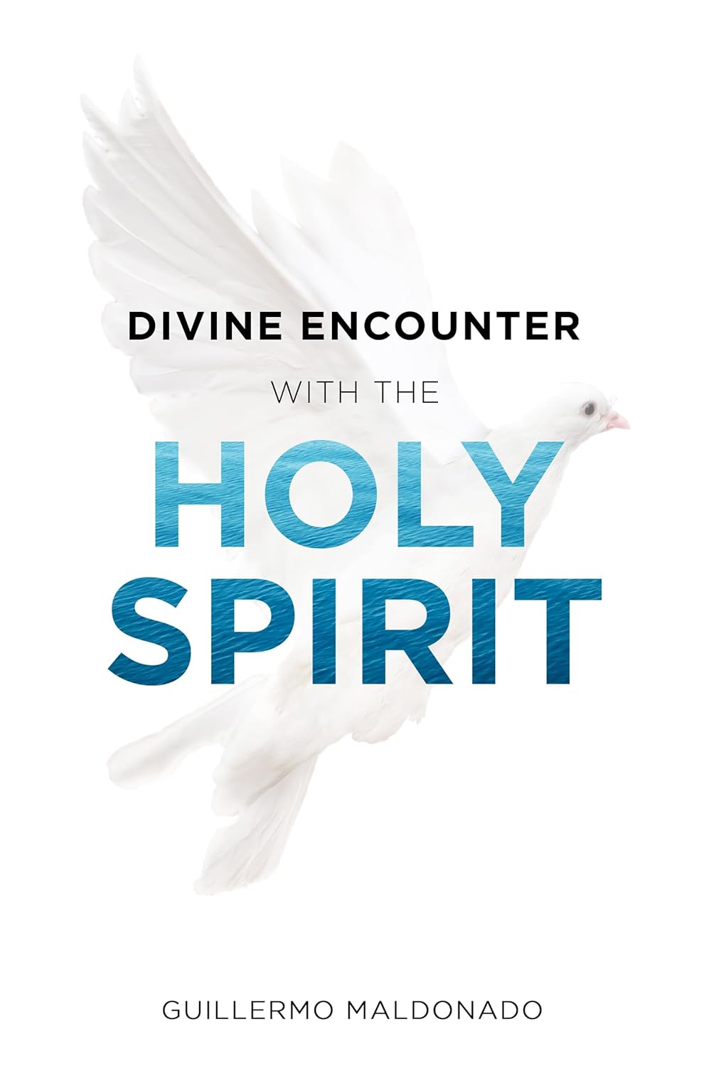 Divine Encounter with the Holy Spirit by Guillermo Maldonado