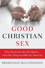 Good Christian Sex, Why Chastity Isn't the Only Option-And Other Things the Bible Says About Sex by Bromleigh McCleneghan