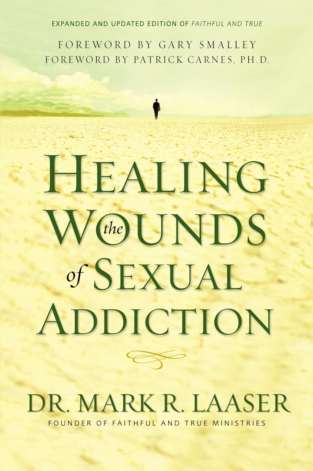 71sVgLAsw3L._SL1500_ Healing the Wounds of Sexual Addiction, Discover the Practical and Spiritual Steps to Lasting Recovery by Mark Laaser - Image 1